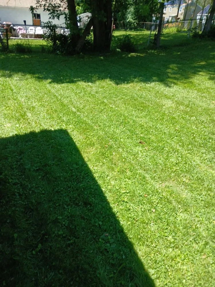 Trusted landscape installation for homes across Windsor, CT - Mr.Cheap & Neat Landscaping and Detailing