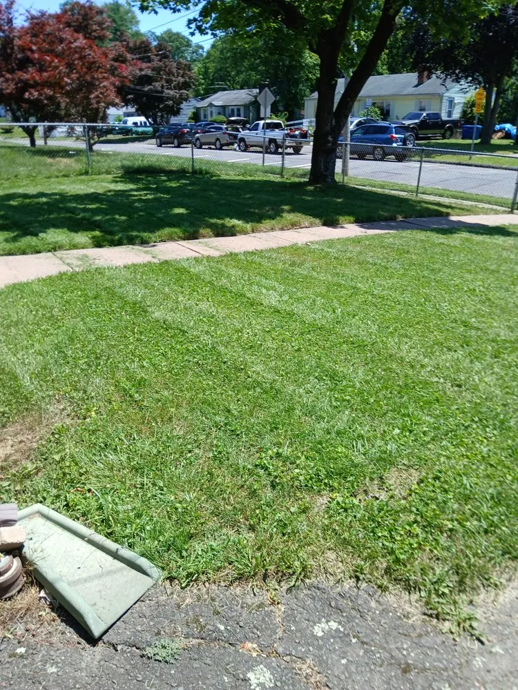 Custom yard maintenance for year-round maintenance in Windsor, CT by Mr.Cheap & Neat Landscaping and Detailing