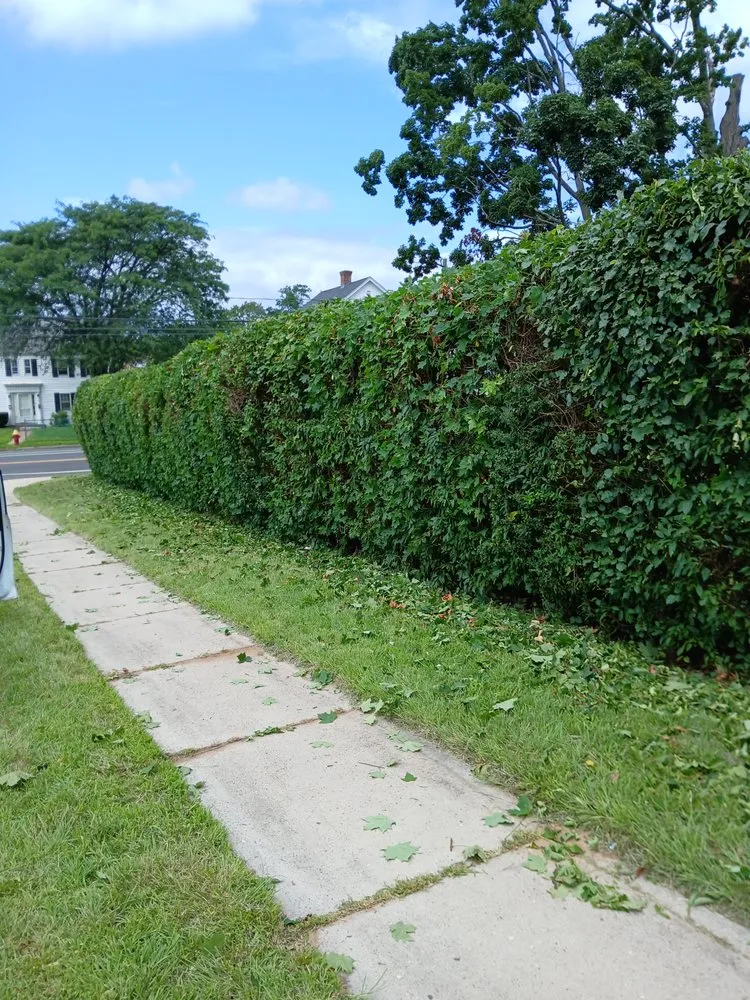 Local lawn mowing service in Windsor, CT by Mr.Cheap & Neat Landscaping and Detailing