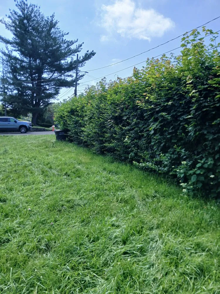 Custom outdoor landscaping in Windsor, CT - Mr.Cheap & Neat Landscaping and Detailing