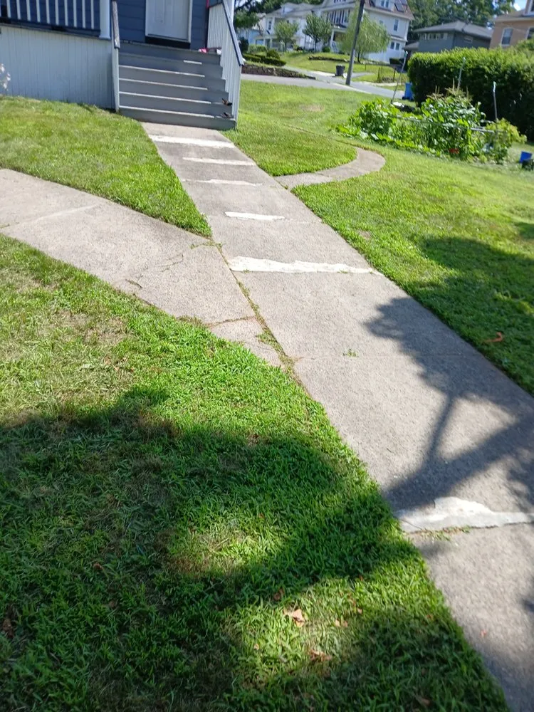 Expert yard cleanup service experts serving Windsor, CT - Mr.Cheap & Neat Landscaping and Detailing