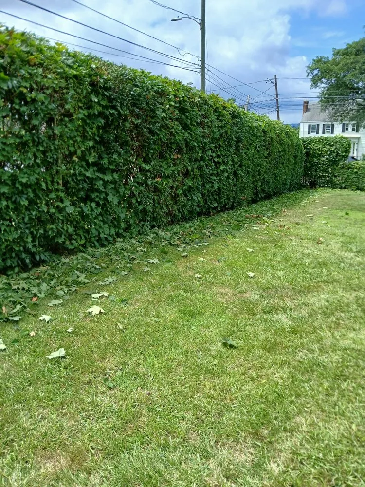 Affordable landscaping services in Windsor, CT - Mr.Cheap & Neat Landscaping and Detailing