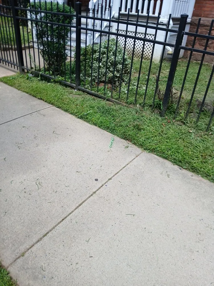 Custom yard cleanup service near you in Windsor, CT by Mr.Cheap & Neat Landscaping and Detailing