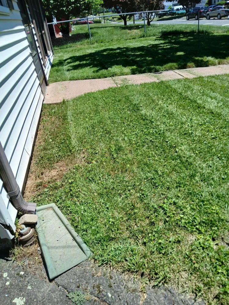 Professional yard cleanup service in Windsor, CT - Mr.Cheap & Neat Landscaping and Detailing