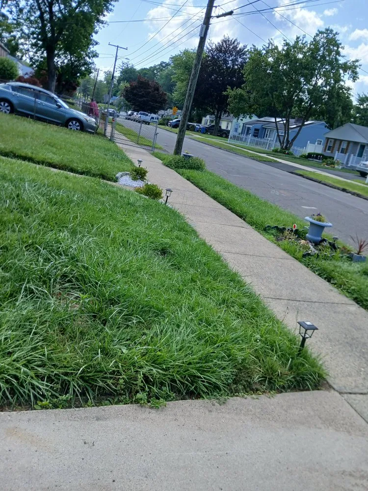 Trusted landscaping services in Windsor, CT - Mr.Cheap & Neat Landscaping and Detailing