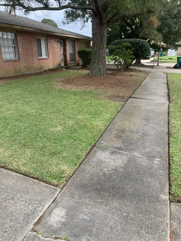 Reliable residential landscaping near you across Marrero, LA - Mrcutalot