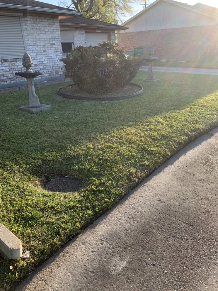 Expert outdoor landscaping in Marrero, LA - Mrcutalot