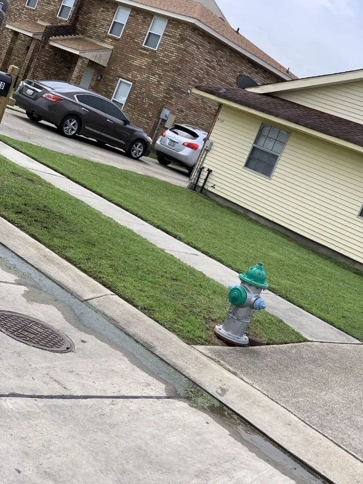 Professional landscape installation experts serving Marrero, LA - Mrcutalot
