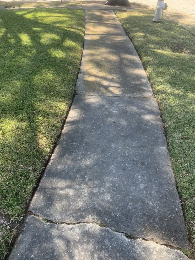 Trusted lawn mowing service near you in Marrero, LA by Mrcutalot