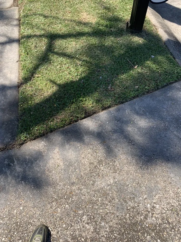 Top-rated landscape installation in Marrero, LA by Mrcutalot