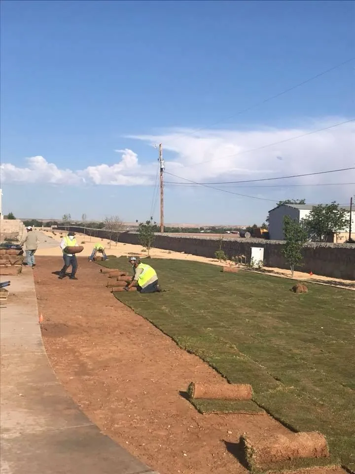 Reliable residential landscaping for beautiful yards in El Paso, TX by MRD Irrigation & Landscaping