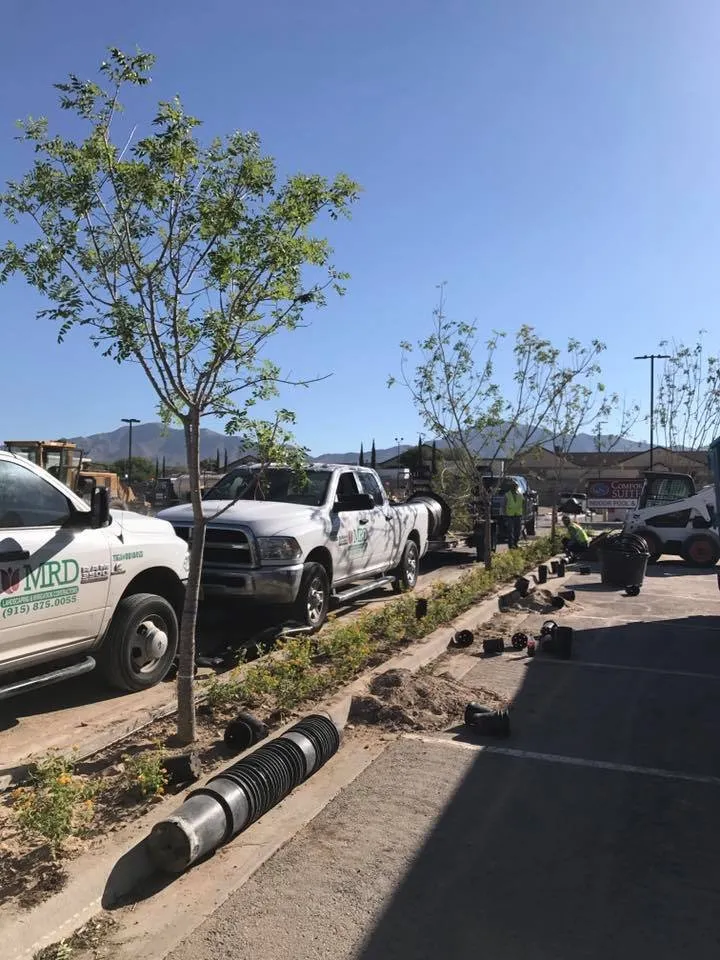 Affordable landscaping services in El Paso, TX - MRD Irrigation & Landscaping