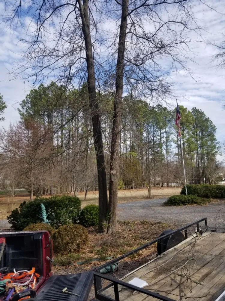 Professional lawn care service experts serving Rock Hill, SC - MRFIXIT