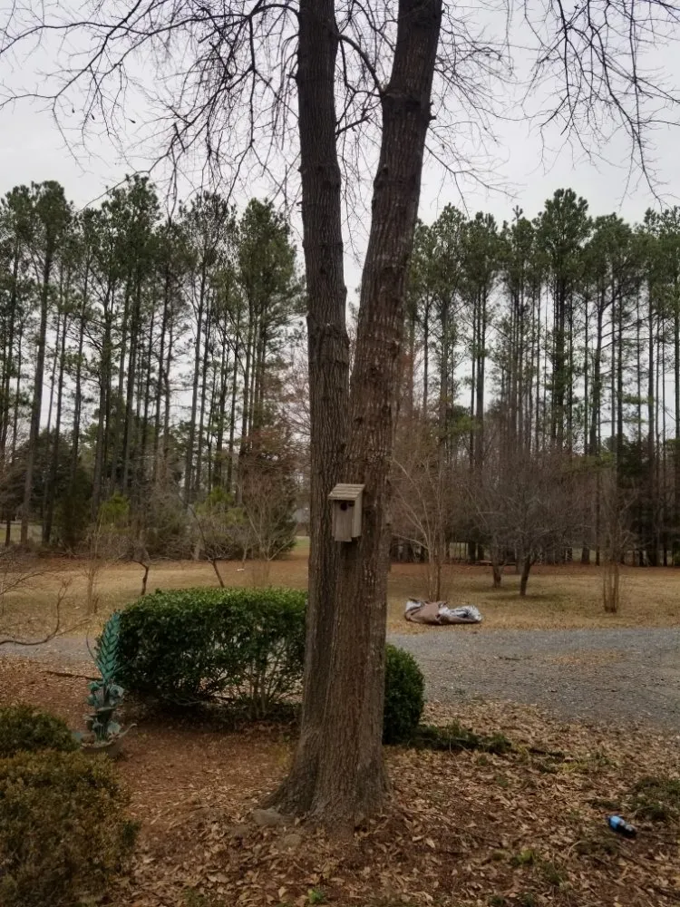 Local garden landscaping in Rock Hill, SC by MRFIXIT