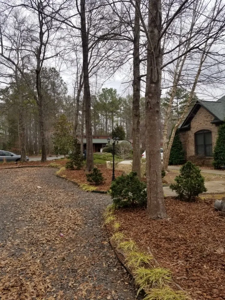 Local lawn care service in Rock Hill, SC - MRFIXIT