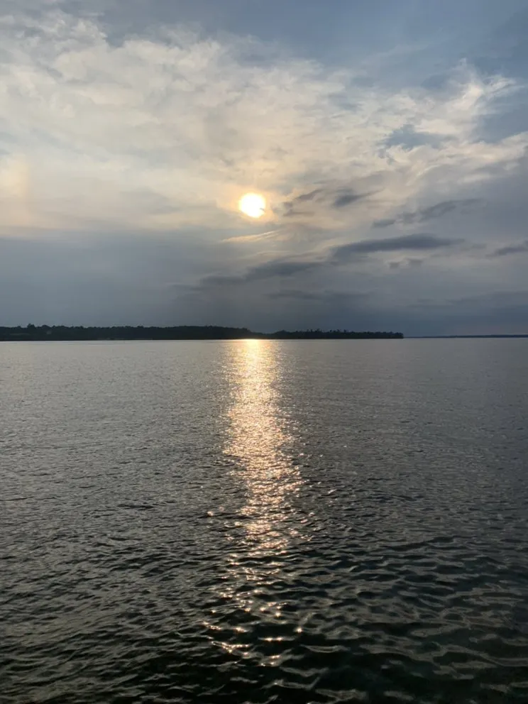 Expert yard cleanup service in Richmond, VA by Mr.Flores Multi Services