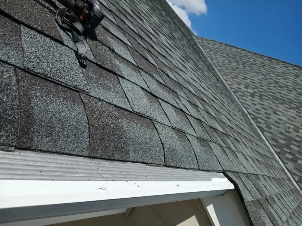 Professional lawn mowing service in Richmond, VA - Mr.Flores Multi Services