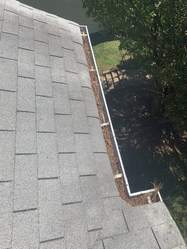 Local landscaping services experts serving Richmond, VA - Mr.Flores Multi Services