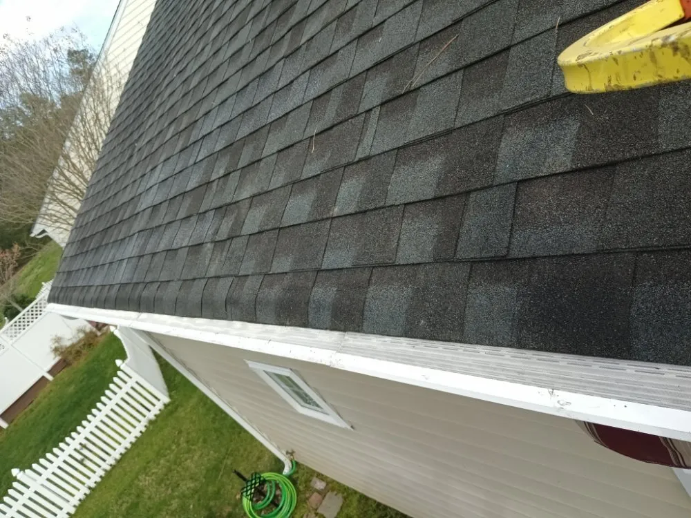 Affordable lawn care service for beautiful yards across Richmond, VA - Mr.Flores Multi Services