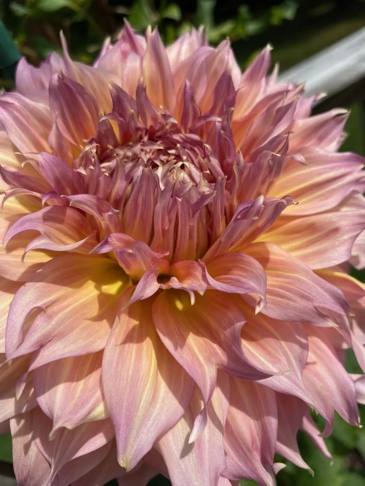 Expert garden landscaping for residential properties across Alexandria, VA - MRGDMV