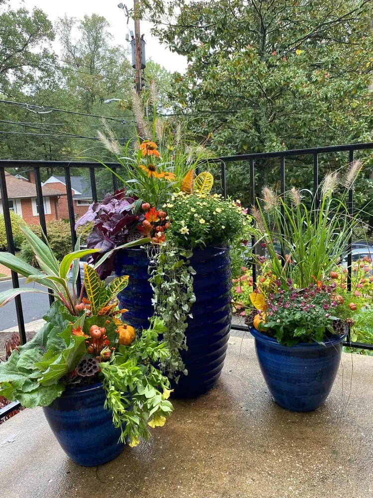 Expert landscaping services for beautiful yards in Alexandria, VA by MRGDMV