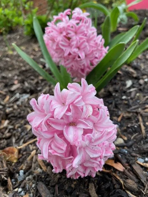 Custom outdoor landscaping for residential properties in Alexandria, VA by MRGDMV