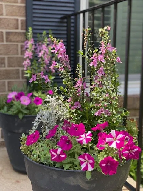 Trusted landscape installation experts serving Alexandria, VA - MRGDMV