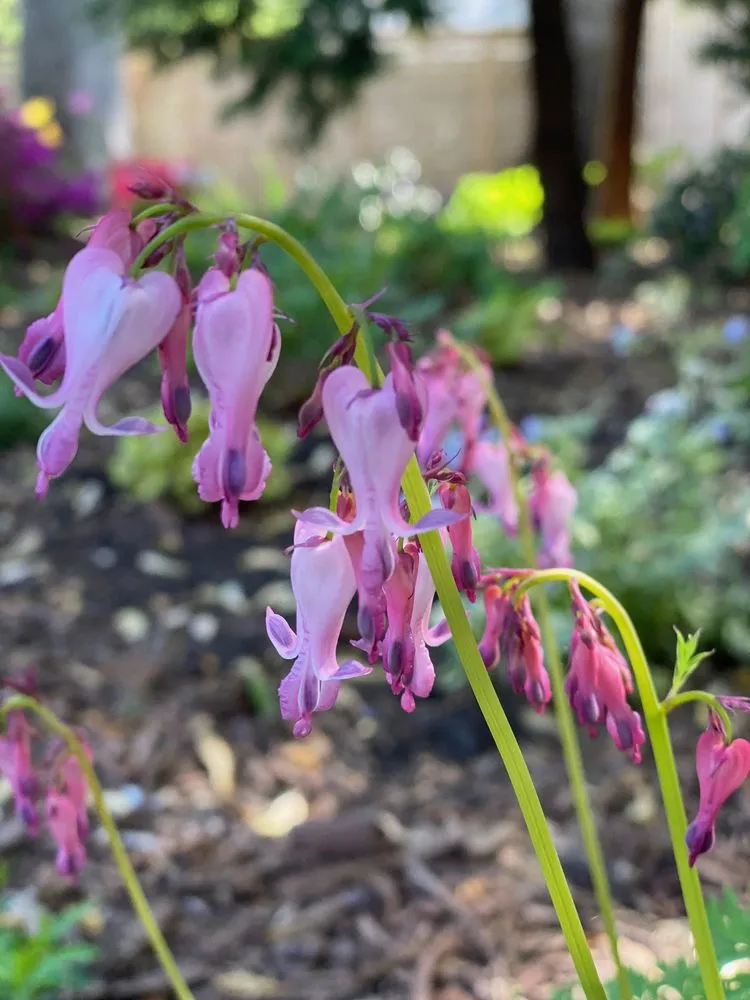 Trusted landscaping services in Alexandria, VA by MRGDMV