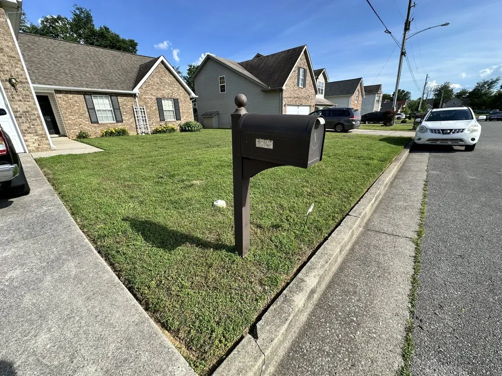 Expert outdoor landscaping experts serving Mt. Juliet, TN - MrGreenTrades