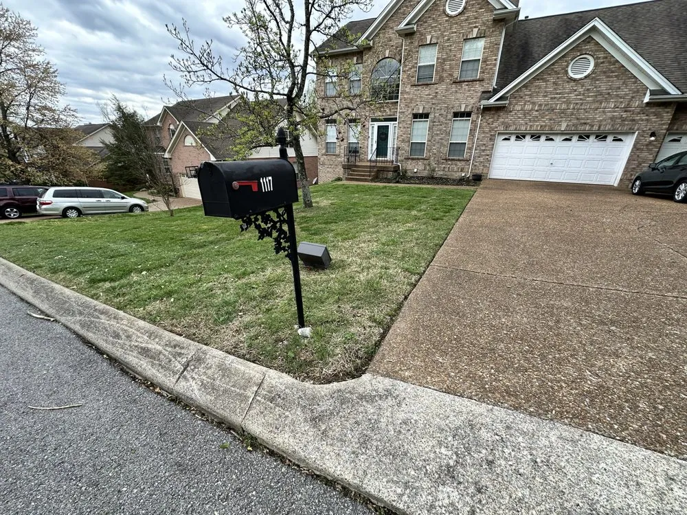 Professional landscape installation for year-round maintenance across Mt. Juliet, TN - MrGreenTrades