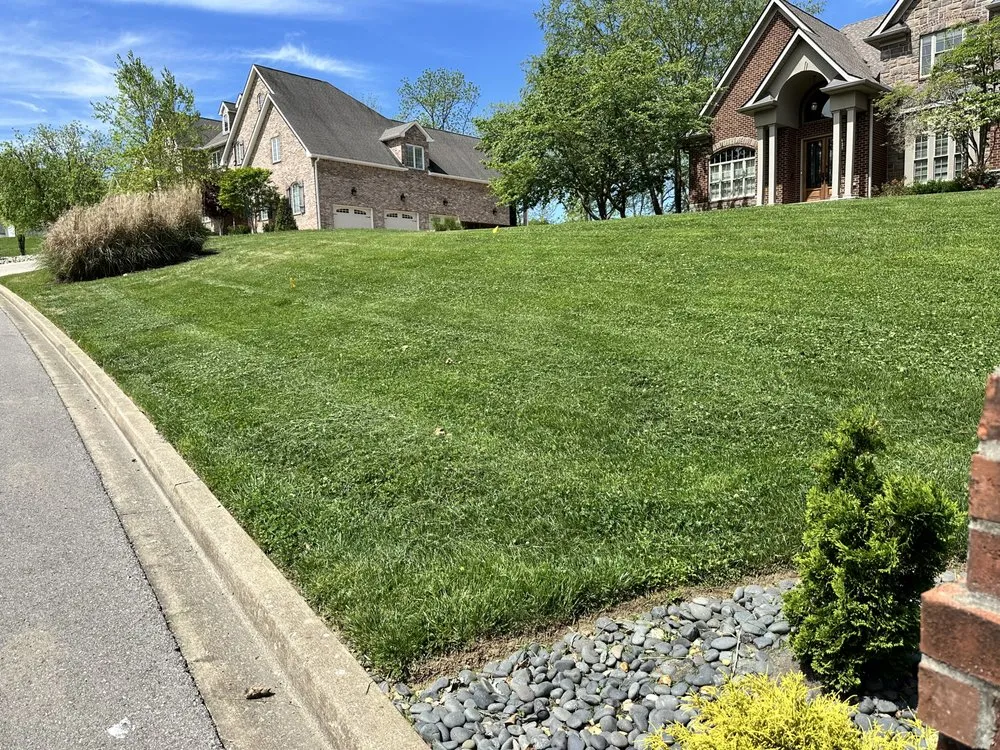 Reliable landscape installation experts serving Mt. Juliet, TN - MrGreenTrades