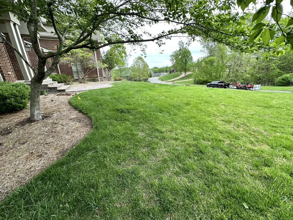 Affordable landscape design near you in Mt. Juliet, TN by MrGreenTrades