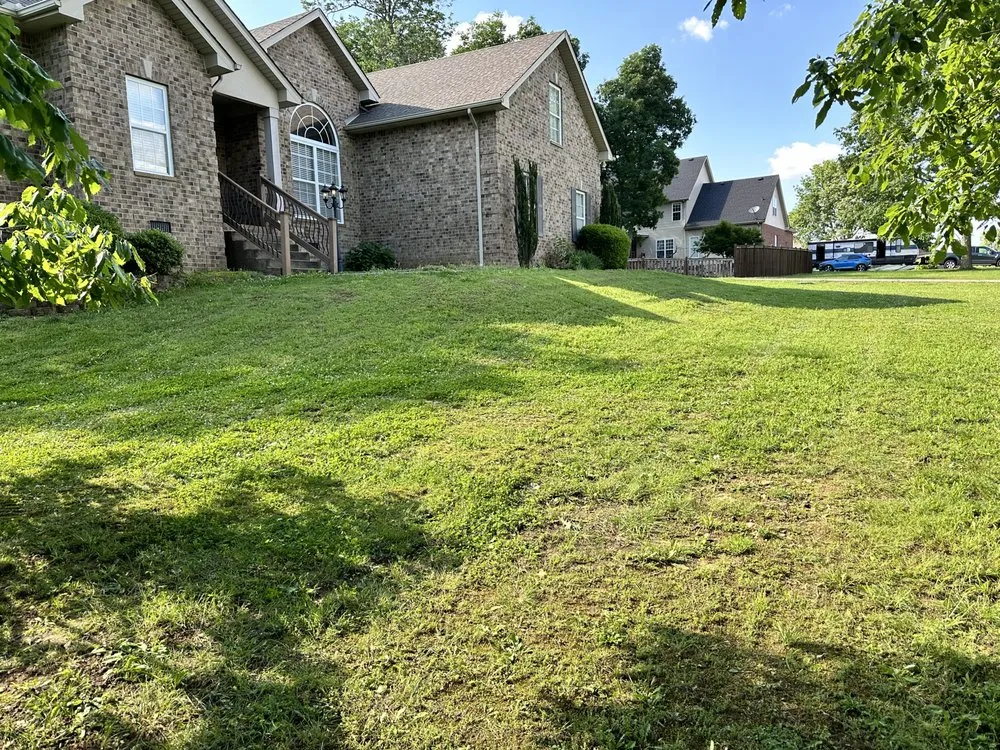 Expert landscape installation in Mt. Juliet, TN - MrGreenTrades