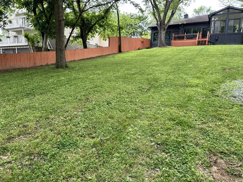 Expert yard cleanup service experts serving Mt. Juliet, TN - MrGreenTrades
