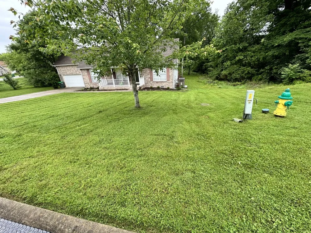 Affordable landscape design with custom design in Mt. Juliet, TN by MrGreenTrades