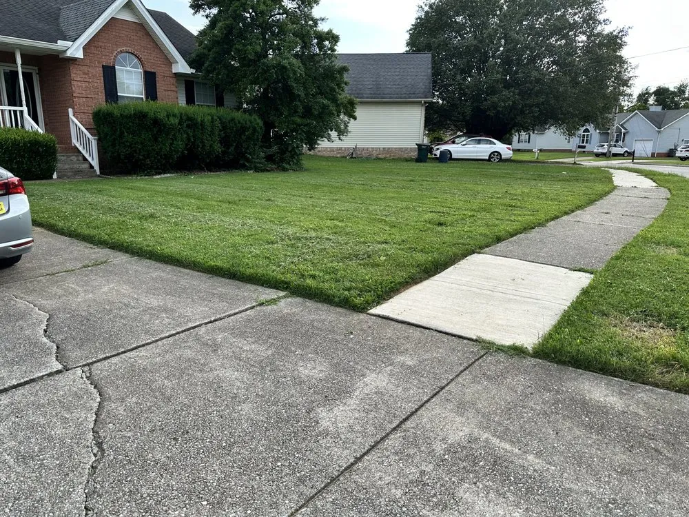 Top-rated yard maintenance for year-round maintenance across Mt. Juliet, TN - MrGreenTrades