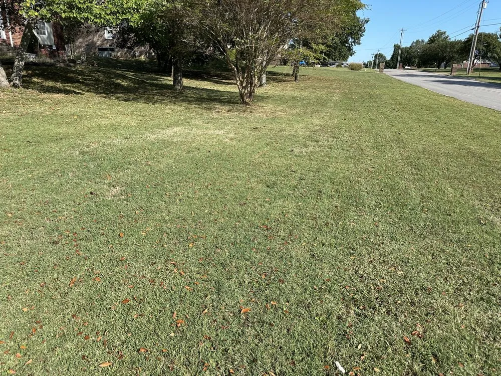 Professional outdoor landscaping in Mt. Juliet, TN - MrGreenTrades