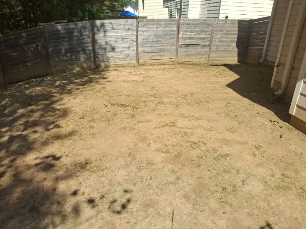 Expert yard maintenance near you across Fairburn, GA - Mr.Harveys