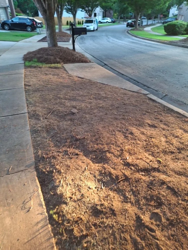 Reliable yard cleanup service near you in Fairburn, GA by Mr.Harveys