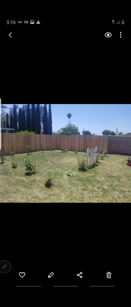 Trusted landscape installation for outdoor upgrades across San Bernardino, CA - MRI Construction Handyman Services