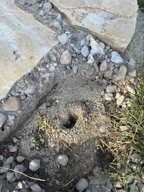 Top-rated landscaping services near you across North Ogden, UT - MRK Landscape