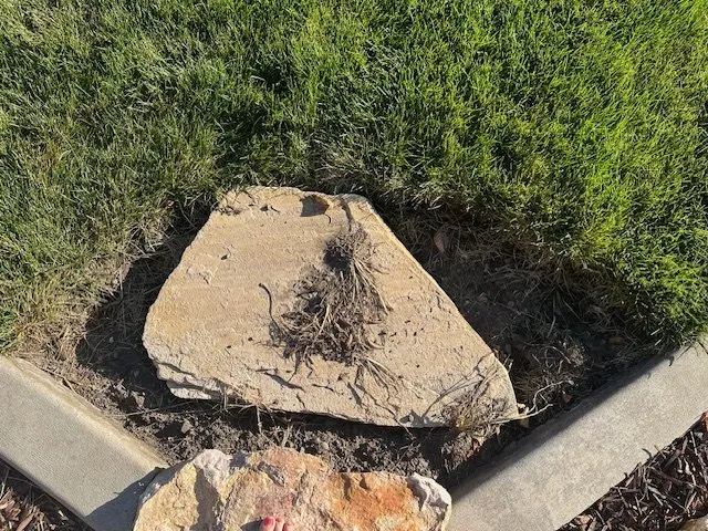 Top-rated lawn care service in North Ogden, UT - MRK Landscape