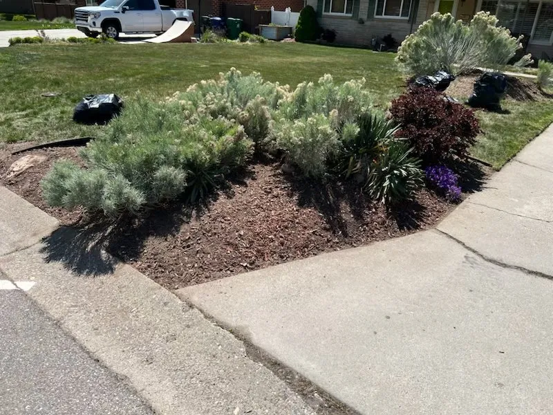 Custom yard maintenance in Salt Lake City, UT - Mr.Landscapers