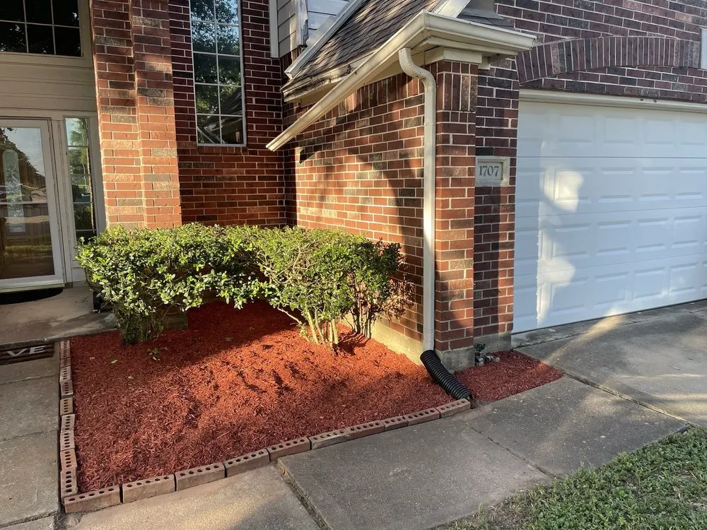 Local yard cleanup service experts serving Houston, TX - MrLopez landscaping & Tree service