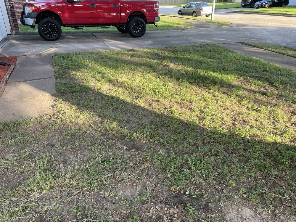 Local landscape design in Houston, TX - MrLopez landscaping & Tree service