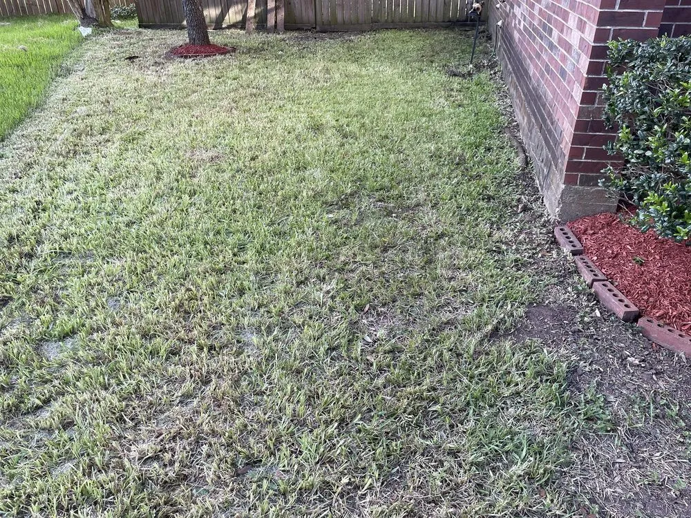 Local landscape installation for year-round maintenance in Houston, TX by MrLopez landscaping & Tree service