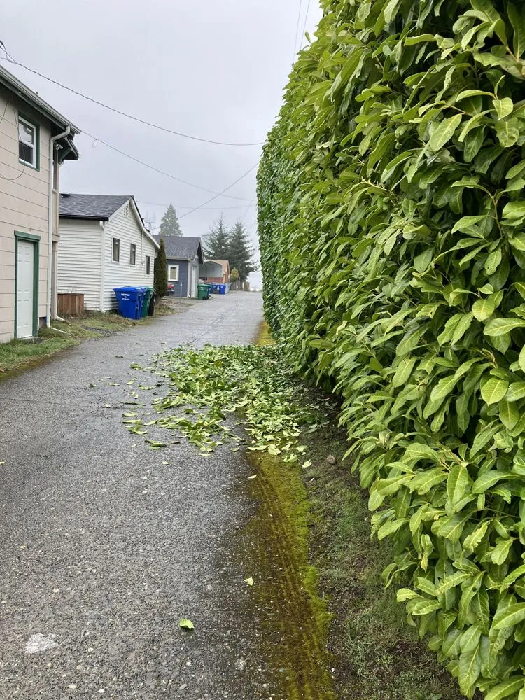 Top-rated landscape installation for beautiful yards across Tacoma, WA - Mrmainta_in