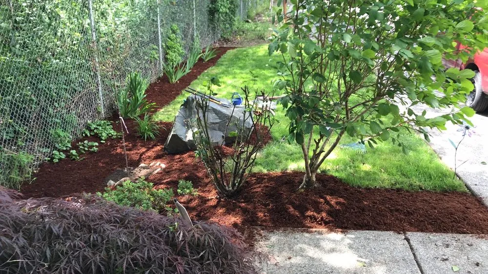 Trusted landscaping services for homes in Tacoma, WA by Mrmainta_in