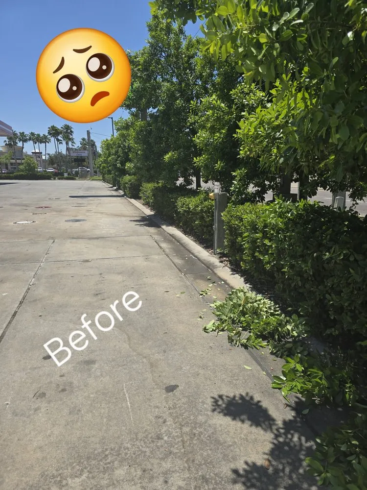 Professional yard maintenance in Lake Wales, FL by Mr&Mrs Landscaping