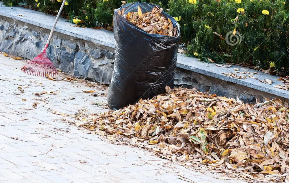 Expert yard maintenance in Danbury, CT - MRO Landscaping